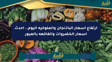 ارتفاع أسعار الباذنجان والملوخية اليوم.. أحدث أسعار الخضروات والفاكهة بالعبور